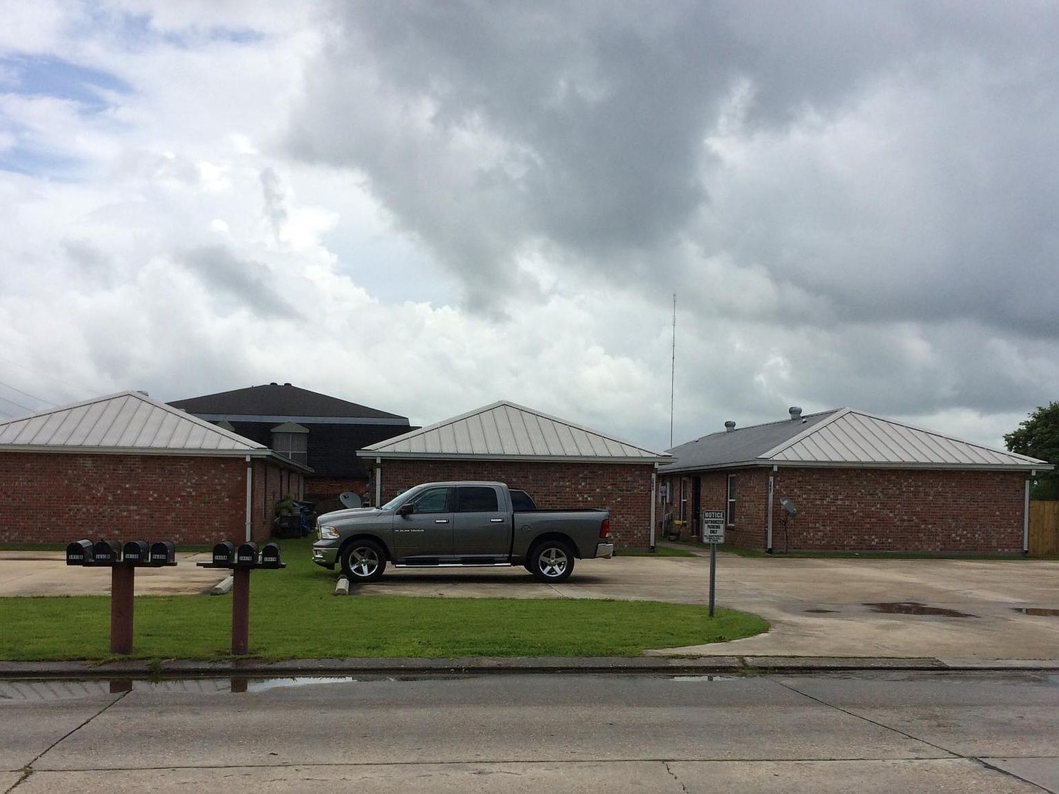 churury'sページ Perforated Shears 7.5 | J&Y Pet's Supplier