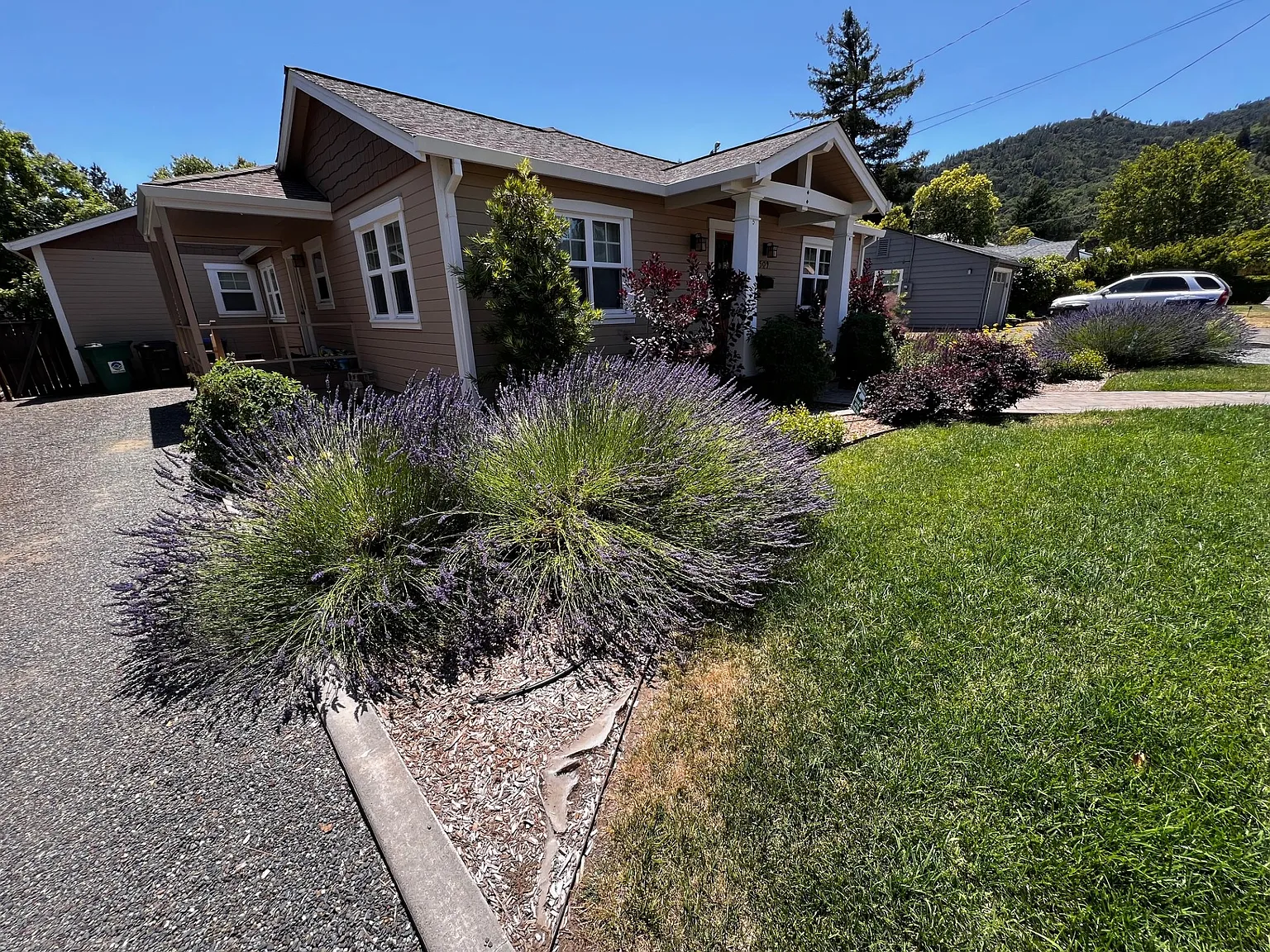 3 bed, 2000 sqft, $3,000 — Photo 2