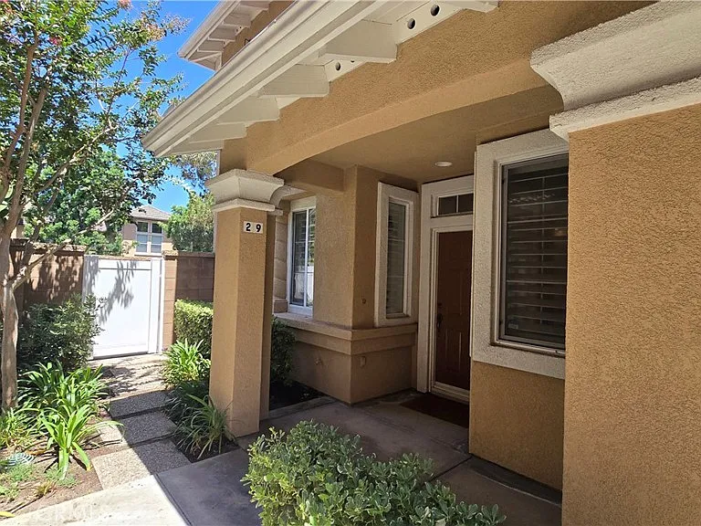 29 Carnation — Photo 1