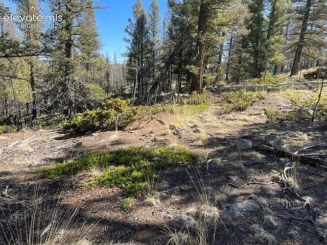 1st image of 228 Alpine Dr