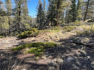 228 Alpine Dr, Florissant, CO 80816