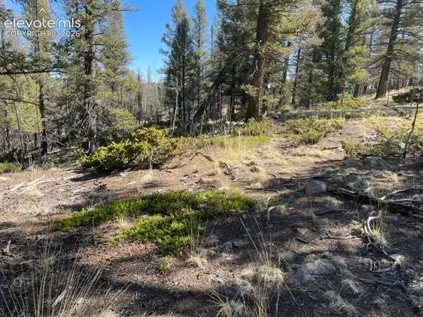 228 Alpine Dr, Florissant, CO 80816
