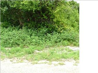 2nd image of 215 Lake Pl