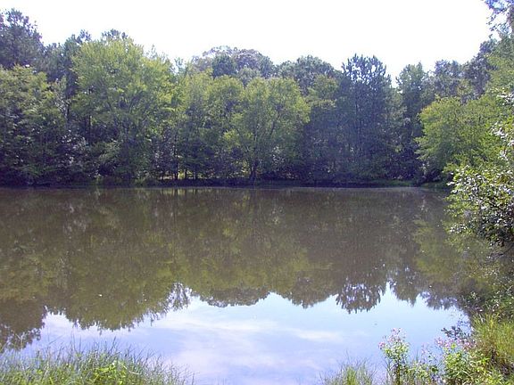 2 Acre Spring Fed Lake