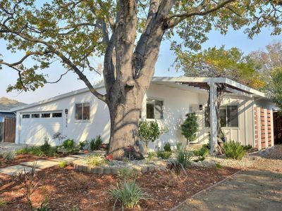4850 Winton Way, San Jose, CA, 95124