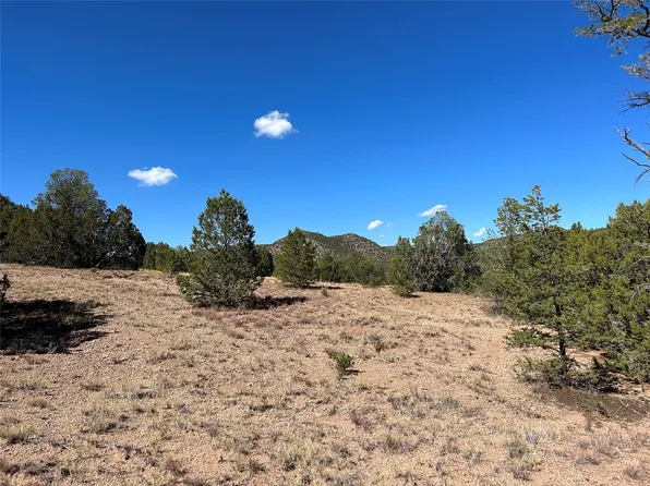 120.32 Acres Off County Rd #B34b, Pecos, NM 87552
