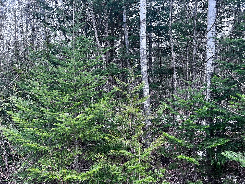 2nd image of Lot 12 Woodland Ridge Road