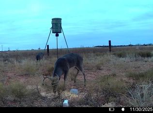 Fm 1919, Seymour, TX 76380