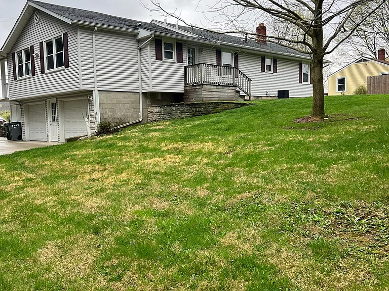 back yard
