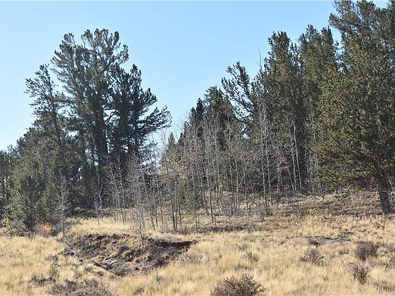 4th image of 304 Snyder Creek Ct