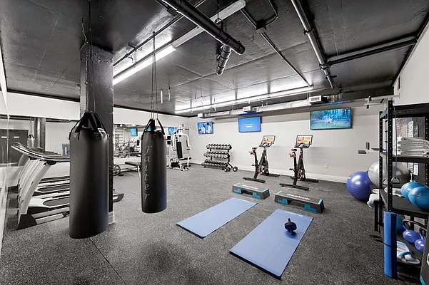 Rented by Nest Seekers International | media 23