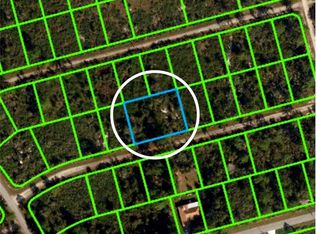3111 Cedar Hill Ave, Lake Placid, FL 33852