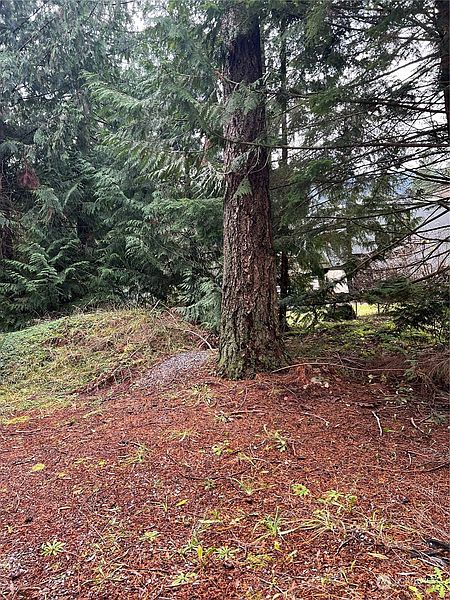 5th image of 901 Ruby Valley Court