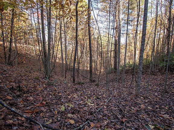 5th image of LOT 66 Choctaw Ridge Trl