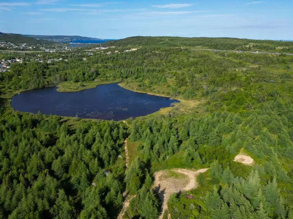 21 Reids Road, Bay Roberts, NL A0A1G0