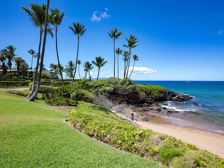 Wailea Alanui Dr — Photo 48