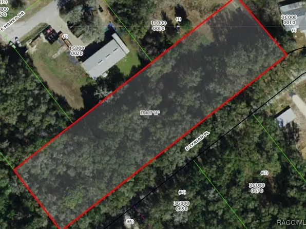 1751 E Zyrian Pl, Hernando, FL 34442