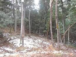 2nd image of 1626 Poplar Dr