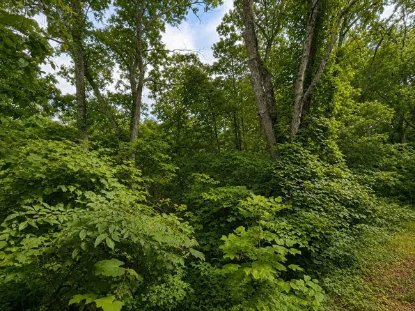 0 Skyline Dr Lot 68, Smithville, TN 37166