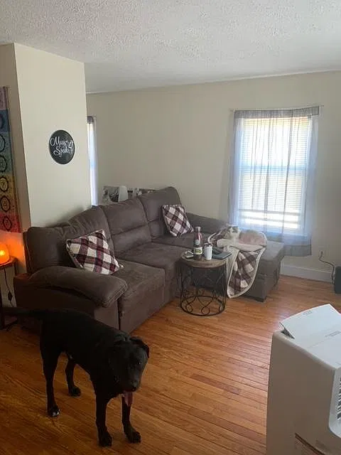 3 bed, 1200 sqft, $2,500 — Photo 2