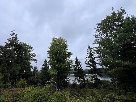 4th image of Lot 7BH Steam Mill Road