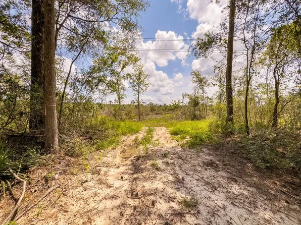 R53358 Tract Hwy #1-94, Apple Springs, TX 75926