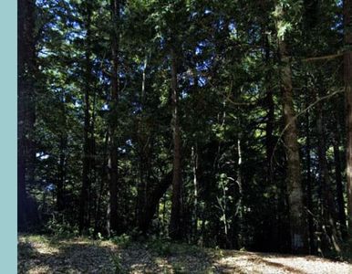 5181 Blue Lake Rd LOT 14, Willits, CA, 95490