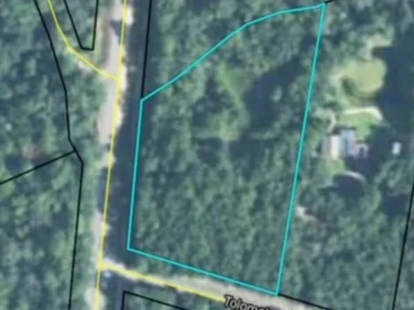 0 Off E S Highway Hwy #99, Darien, GA 31305