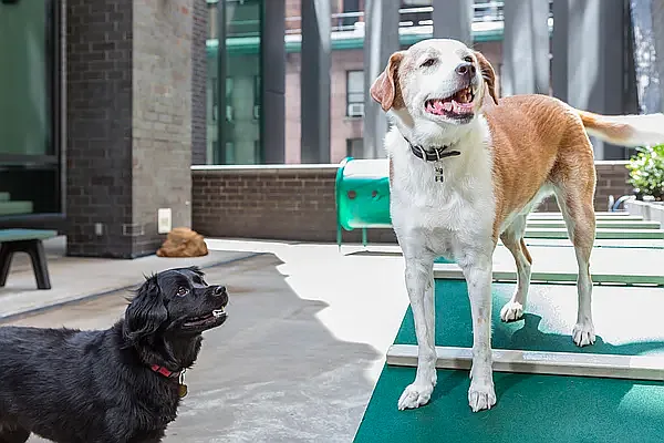 Rented by AA Management | media 21