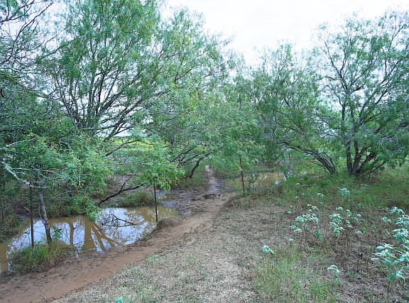 4th image of 1919 County Road 105