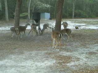 1520 Little Warrior Ct, Perry, FL 32348