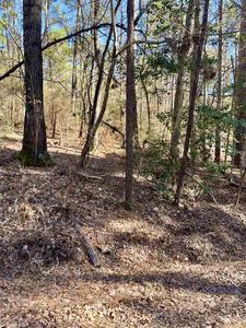 Beech St, Broaddus, TX, 75929