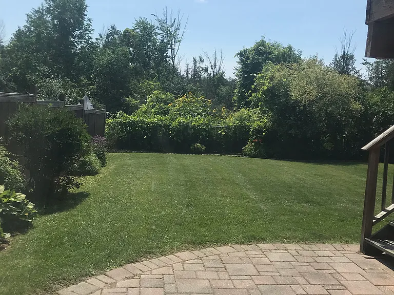 Emerald Ct — Photo 12