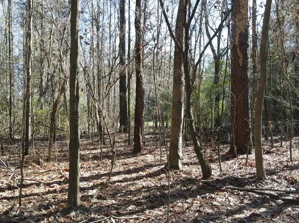 5 Monticello Rd, Wesson, MS 39191