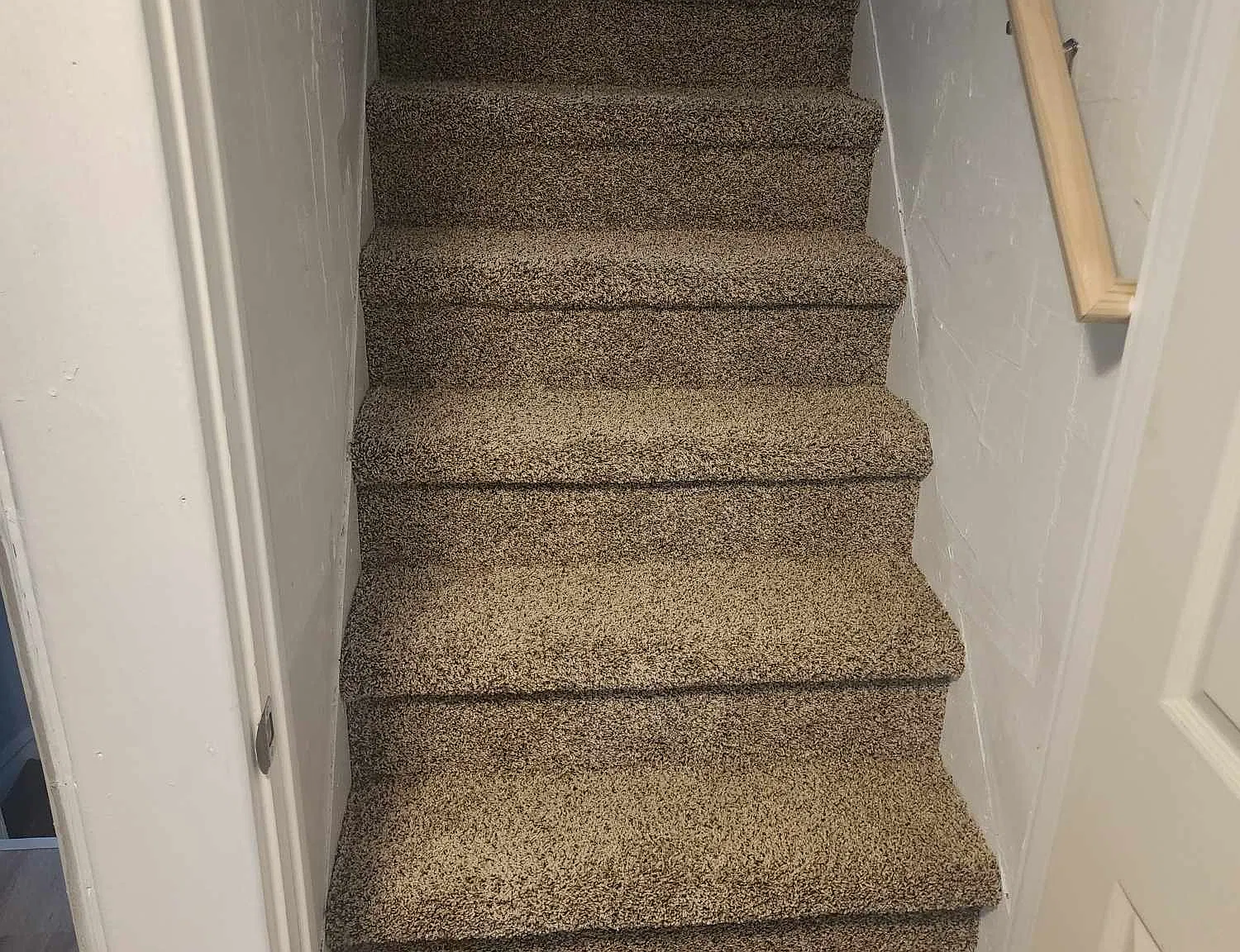 1167 Edison Ave — Photo 4