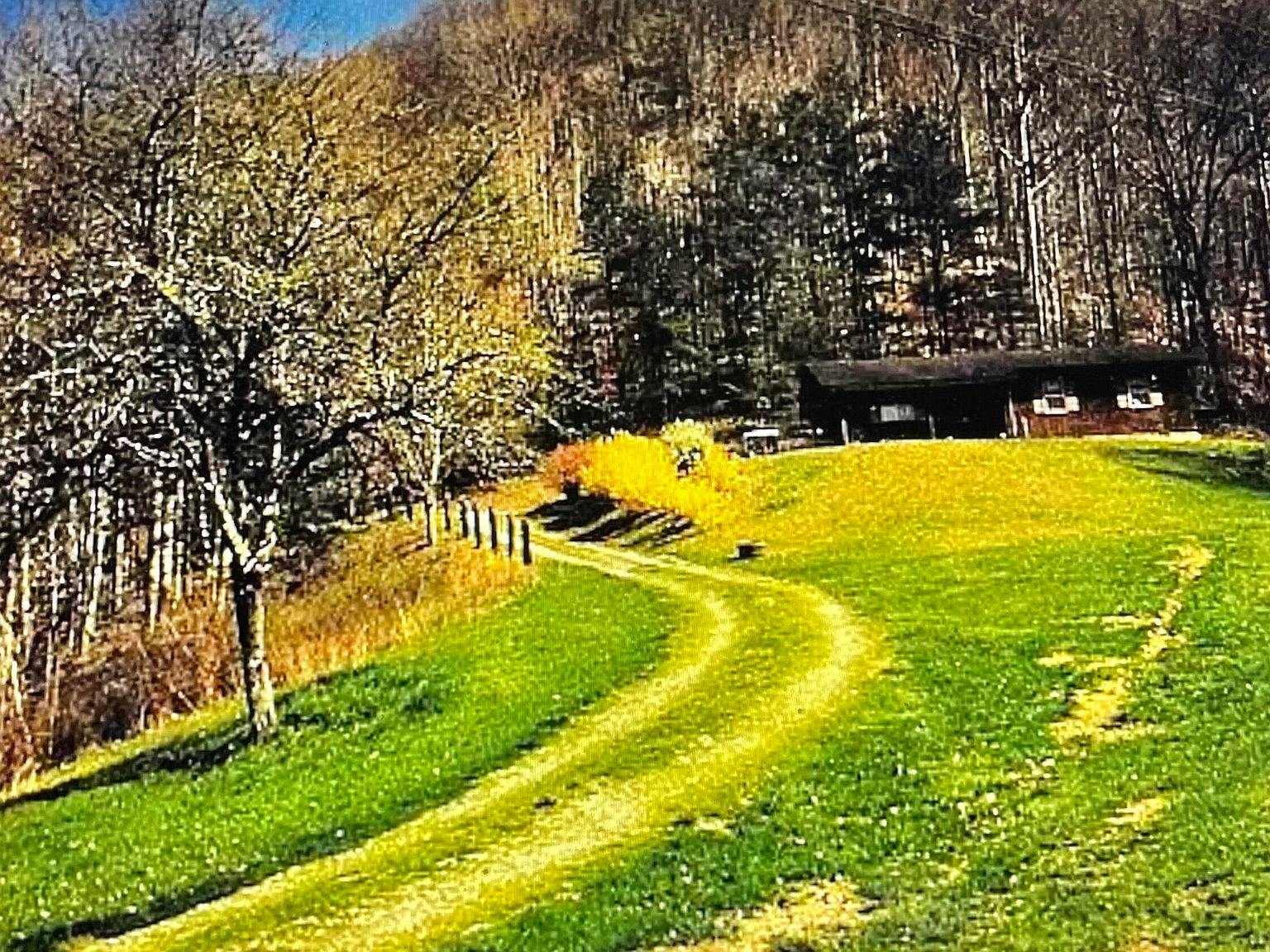 572 Sugar Camp Rd, Barbourville, KY 40906 Zillow