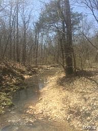 5th image of 0 Blunt Rd