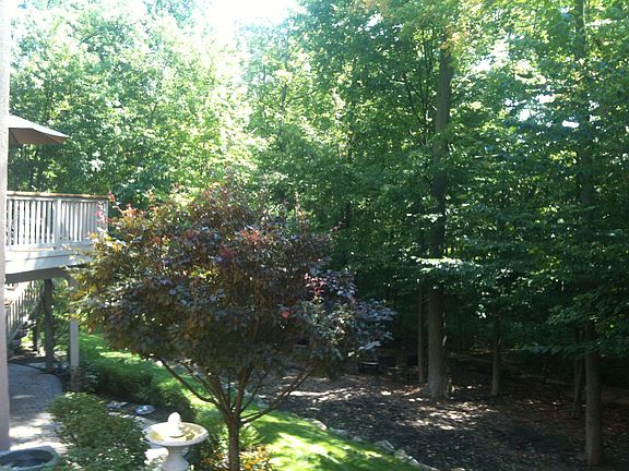 5th image of 4563 Hawk Woods Dr