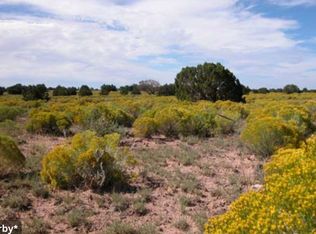 0 Ranch Rd LOT 127, Chambers, AZ 86502