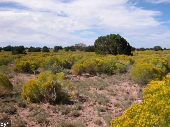 0 Ranch Rd Lot 127, Chambers, AZ 86502