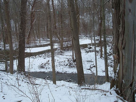 back_stream