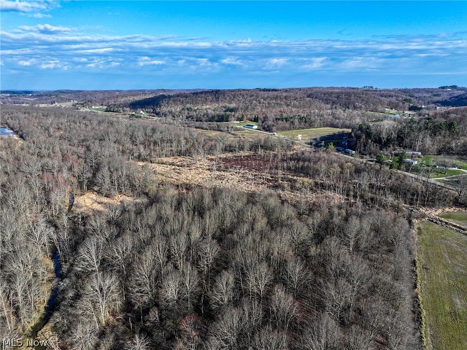 2nd image of Tall Timber Rd