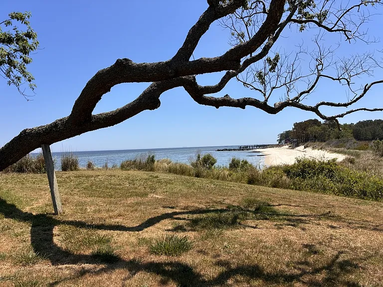 View of side yard and beach
