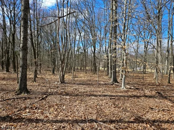 33 Featherbed Ln, Raritan Twp., NJ 08822