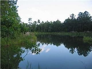 walking areas with ponds