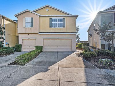 5038 White Sanderling Ct, Tampa, FL, 33619