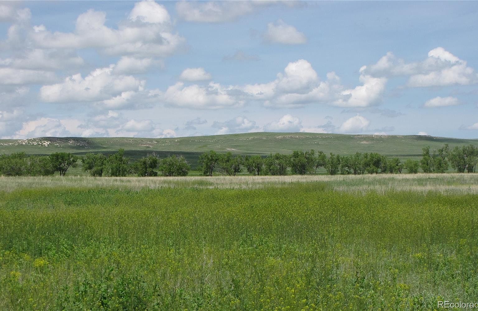 39373 Us Hwy 24, Matheson, CO 80830 Zillow