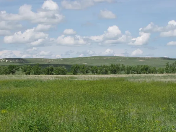 39373 US Hwy 24, Matheson, CO 80830
