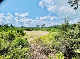 0 Nine Bridge Rd, Corrigan, TX 75939