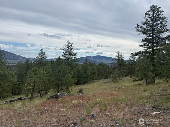 4th image of 111 TBD Patterson Creek